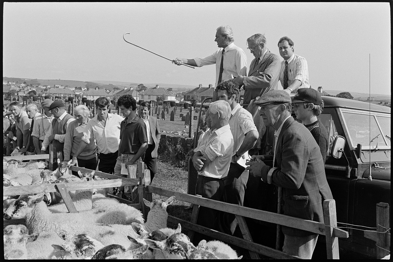 Sheep fair, farmers, auctioneers moving along pens of sheep on hot day. Overview towards town. 
[Men looking at sheep in pens at South Molton Sheep Fair. Three auctioneers are stood in the back of a Land Rover. Houses and a graveyard can be seen in the background.]
