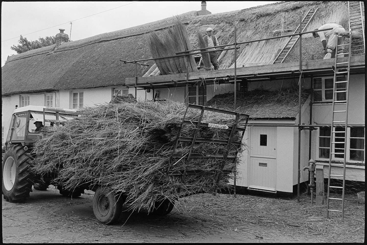Trailer load of reed outside house being thatched. 
[A tractor and trailer loaded with thatch which has been taken off the roof of a house in New Street, Chulmleigh. Two men are on scaffolding and putting new thatch onto the roof. Nitches of reed are resting against the scaffolding.]