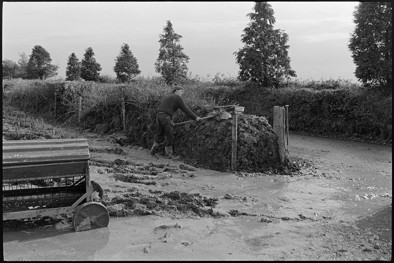 Man clatting up hedge in very muddy field. 
[A man clatting, building up a hedge with turf and mud, using a spade, by the entrance to a very muddy field at Ashreigney. A road runs alongside the field and a hay feeder can be seen in the mud in the foreground.]