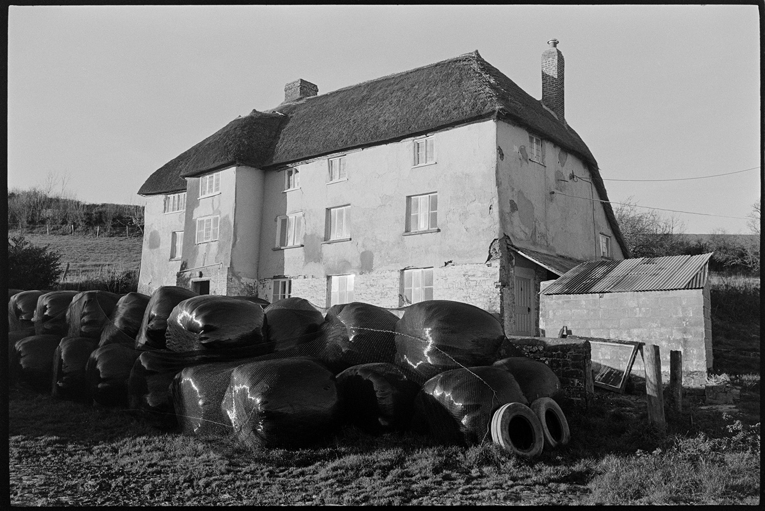 Cob and thatch farmhouse, three stories with polythene bales piled in front. 
[A three storey cob and thatch farmhouse at Brookland, Chulmleigh. Polythene covered bales of hay or silage are stacked up in front of the farmhouse.]