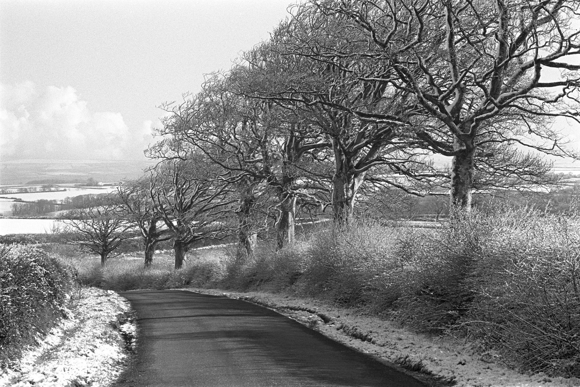 Snow, road and trees. 
[A road near Chulmleigh Beacon. The trees, hedgerows and verge are covered with snow.]