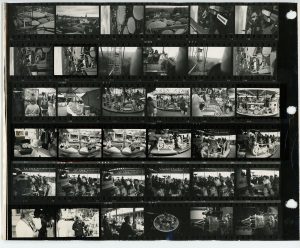 Contact Sheet 8 by James Ravilious