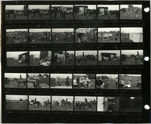 Contact Sheet 19 by James Ravilious