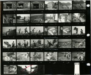 Contact Sheet 21 by James Ravilious