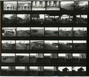 Contact Sheet 81 by James Ravilious