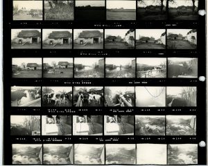 Contact Sheet 111 Part 2 by James Ravilious