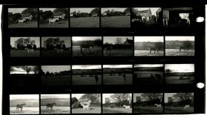 Contact Sheet 114 Part 2 by James Ravilious