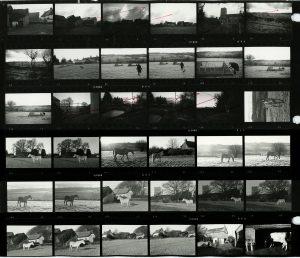 Contact Sheet 114 Part 2 by James Ravilious