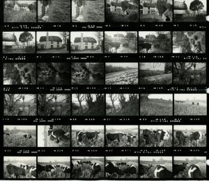 Contact Sheet 118 Part 1 by James Ravilious