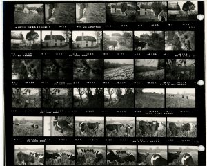 Contact Sheet 118 Part 2 by James Ravilious