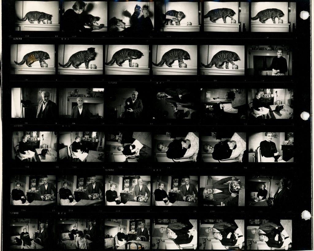Contact Sheet 136 Part 1 by James Ravilious