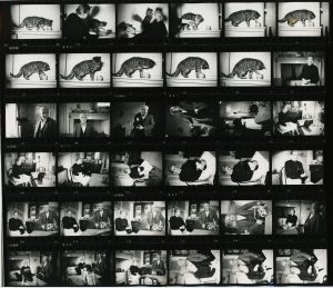 Contact Sheet 136 Part 2 by James Ravilious