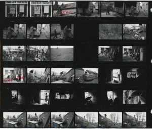 Contact Sheet 175 by James Ravilious