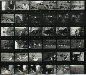 Contact Sheet 189 by James Ravilious