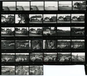 Contact Sheet 203 by James Ravilious