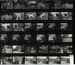 Contact Sheet 208 by James Ravilious