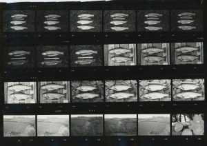 Contact Sheet 218 by James Ravilious