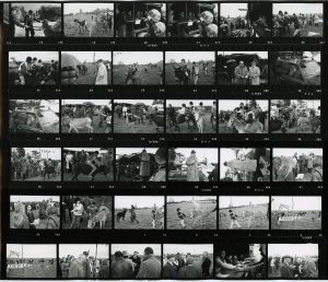 Contact Sheet 226 by James Ravilious