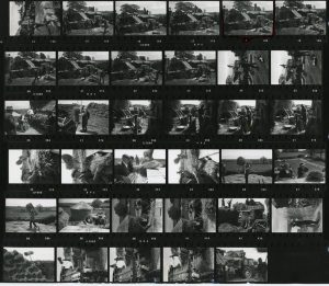 Contact Sheet 233 Part 2 by James Ravilious