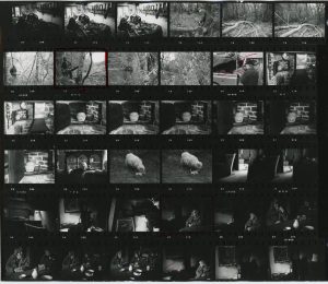 Contact Sheet 240 by James Ravilious