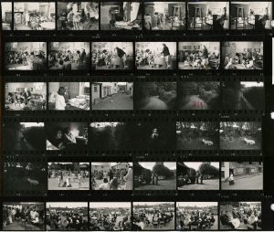 Contact Sheet 266 by James Ravilious