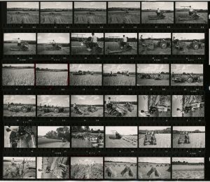 Contact Sheet 273 by James Ravilious