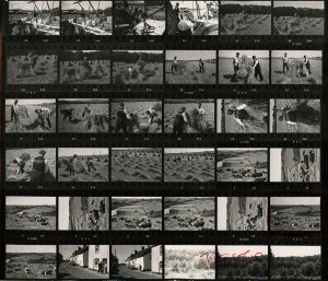 Contact Sheet 274 by James Ravilious