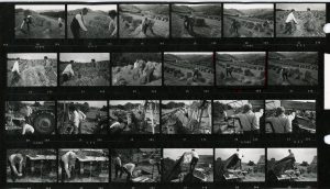 Contact Sheet 279 by James Ravilious