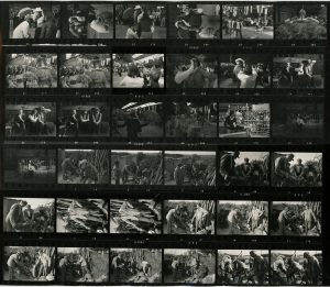 Contact Sheet 298 by James Ravilious