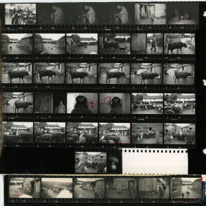 Contact Sheet 306 by James Ravilious