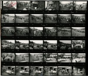 Contact Sheet 307 by James Ravilious