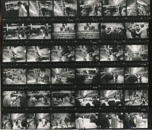 Contact Sheet 329 by James Ravilious