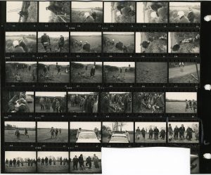 Contact Sheet 339 by James Ravilious