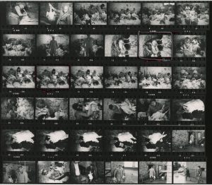 Contact Sheet 344 by James Ravilious