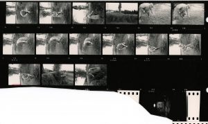 Contact Sheet 346 by James Ravilious