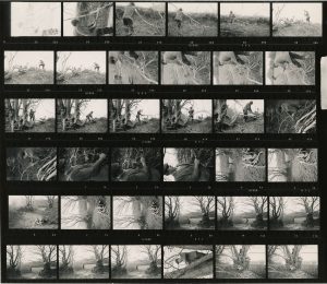 Contact Sheet 354 by James Ravilious