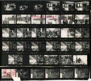 Contact Sheet 366 by James Ravilious