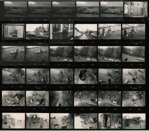 Contact Sheet 383 by James Ravilious