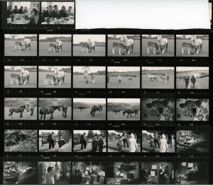 Contact Sheet 410 by James Ravilious