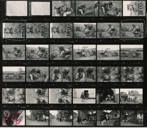 Contact Sheet 412 by James Ravilious