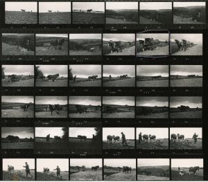 Contact Sheet 420 by James Ravilious