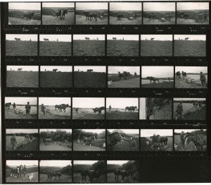 Contact Sheet 421 by James Ravilious