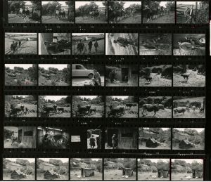 Contact Sheet 422 by James Ravilious