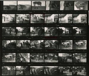 Contact Sheet 426 by James Ravilious
