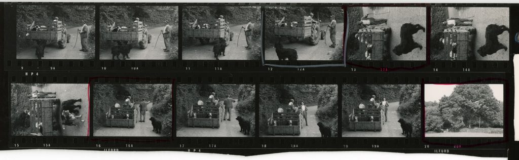 Contact Sheet 429 by James Ravilious