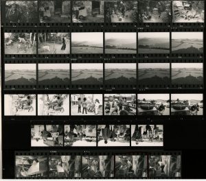 Contact Sheet 431 by James Ravilious