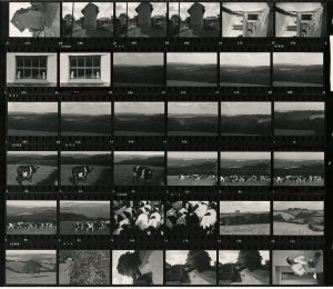 Contact Sheet 448 by James Ravilious