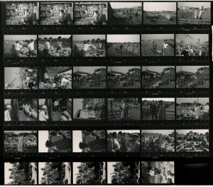 Contact Sheet 460 by James Ravilious