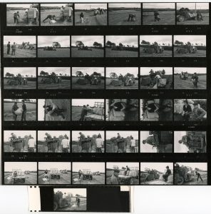 Contact Sheet 463 by James Ravilious