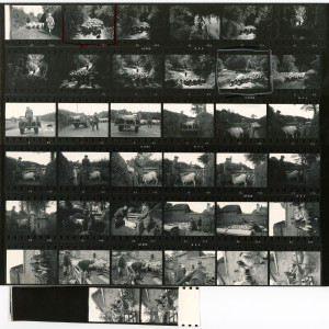 Contact Sheet 477 by James Ravilious